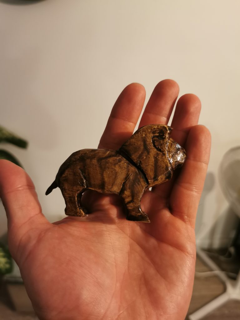 lion objet energetique sons vibrations floris benes magnetiseur